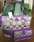 The Amazing Coach Purse Bag For You