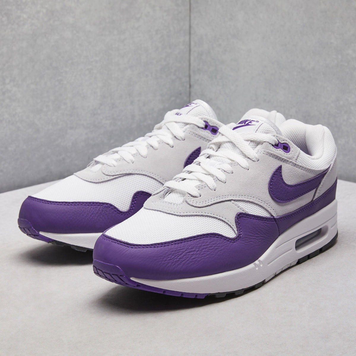 Air Max 1 SC Shoes