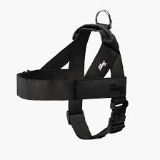 Dog Friendly Co. Adjustable Neck & Chafe Resistant Dog Harness