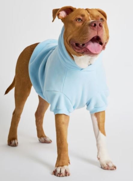 Buy Authentic Pastel Paw Hoodie Luxury Streetwear Online