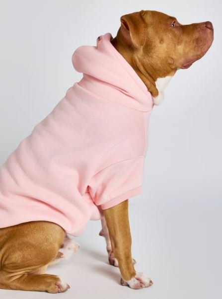 Buy Authentic Pastel Paw Hoodie Luxury Streetwear Online