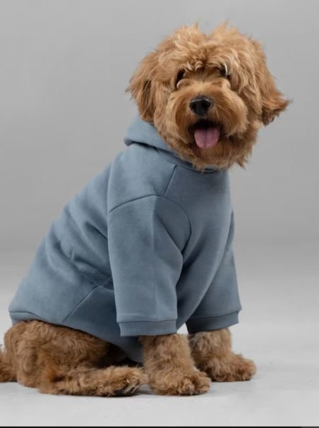 Buy Authentic Signature Paw Hoodie Luxury Streetwear Online