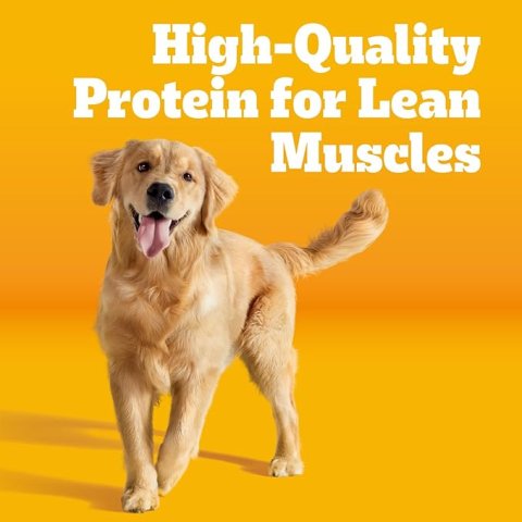 Buy Pedigree Adult Dry Dog Food Grilled Steak & Vegetable Flavor 18 lb Bag | Complete Nutrition Dog Food for Healthy Adult Dogs