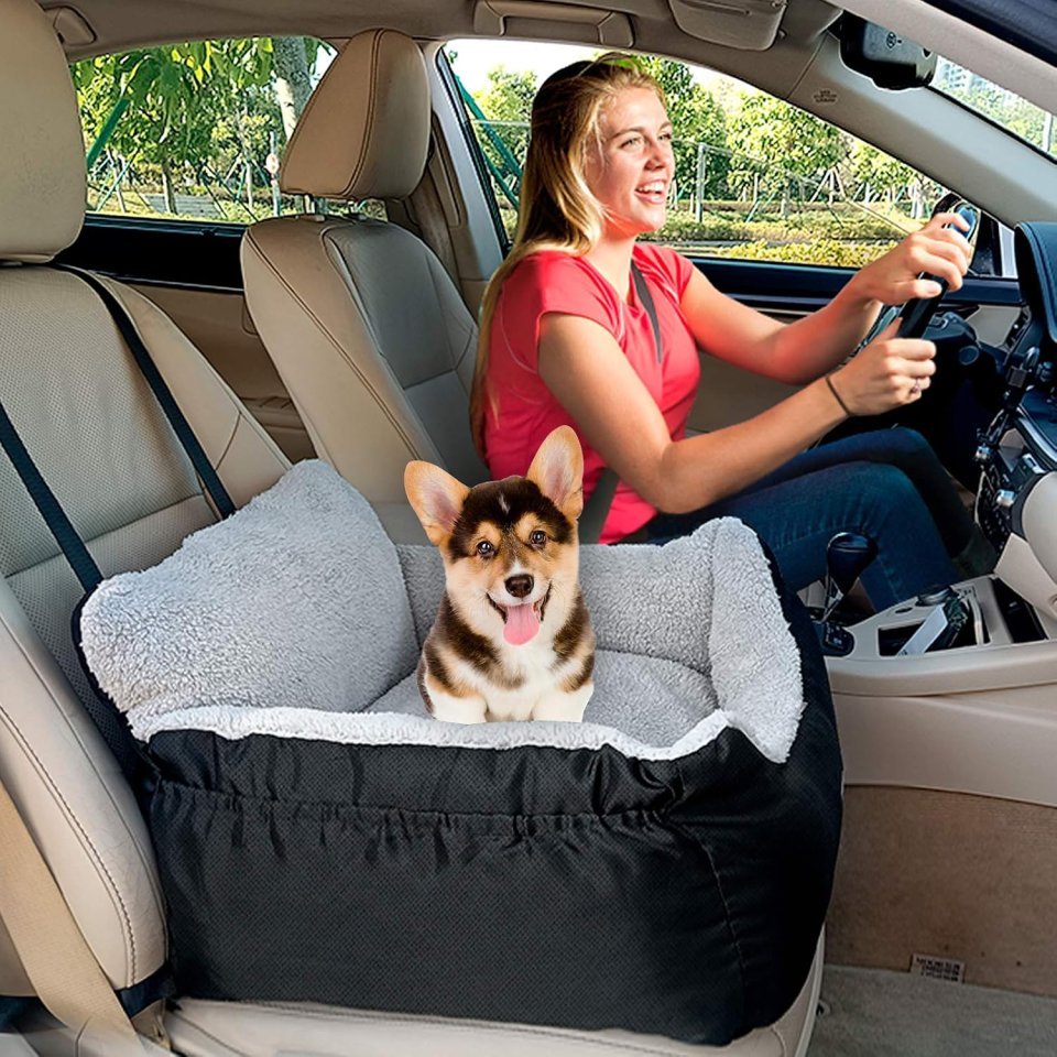 Buy BurgeonNest Dog Car Seat for Small Dogs Online | Soft Washable Pet Booster Car Seat with Storage Pockets & Safety Leash