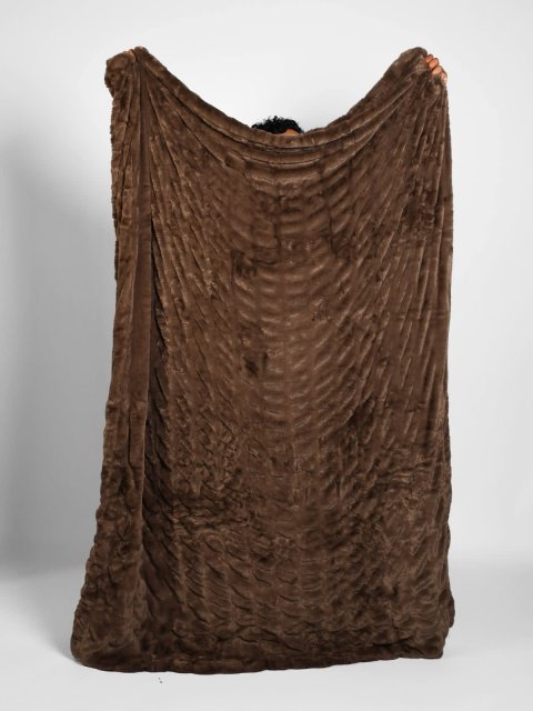 Buy Dreamer Blanket Online | Ultra Soft Cozy Throw Blanket for All-Season Comfort
