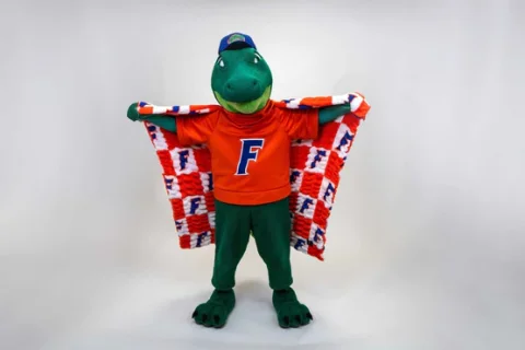 Buy Florida Gators Hugs Blanket Online | Ultra Soft Plush NCAA Throw Blanket for Fans