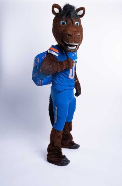 Buy Boise State Broncos Hooded Stadium Everywhere Blanket Online | Ultra Soft Wearable NCAA Hooded Blanket